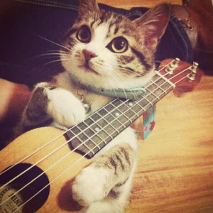 一级免費黄色片
